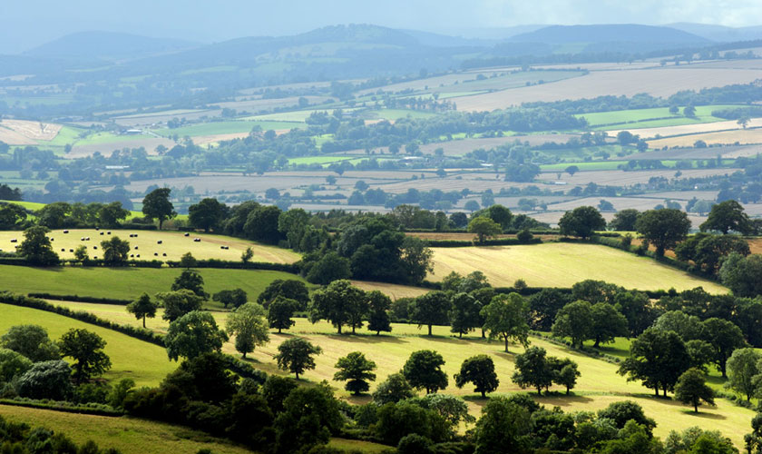 Fields Under the Brown Clee